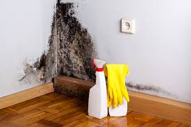 Best Environmental Consulting for Mold Prevention in Wellston, OH